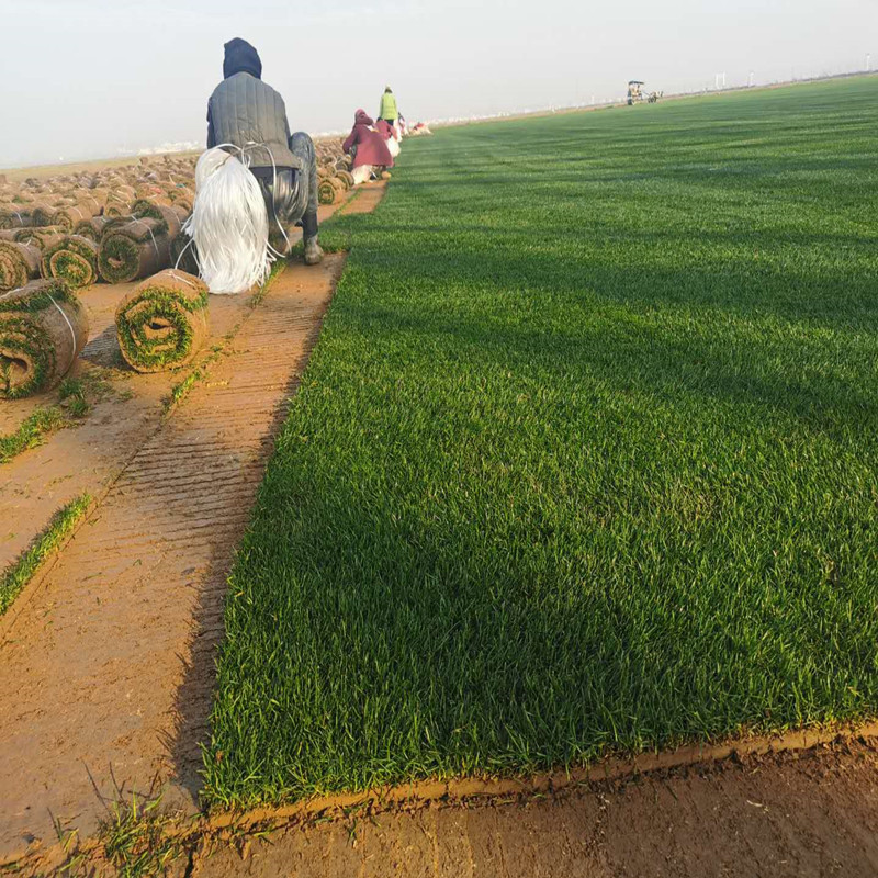 5ea0b3f79838aa0516a48adff75b47