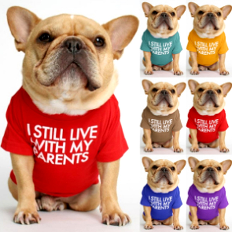 Fashion Cloth Letter Pet Clothing 1 Piece display picture 1