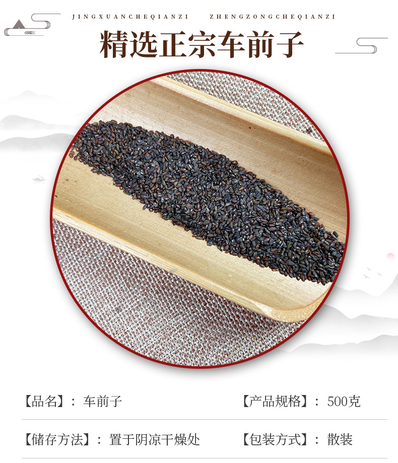 Plantago Seed Che Qian Zi Dried Whole Seeds 500g for Culinary and Traditional Herbal Use key features