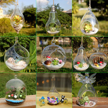 創意懸掛苔蘚微景觀玻璃花瓶多肉玻璃花瓶吊瓶DIY盆栽辦公桌擺件