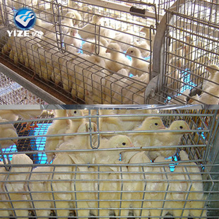 ����\С�u�\���g���\����ĸ�û\����Ʒ�û\