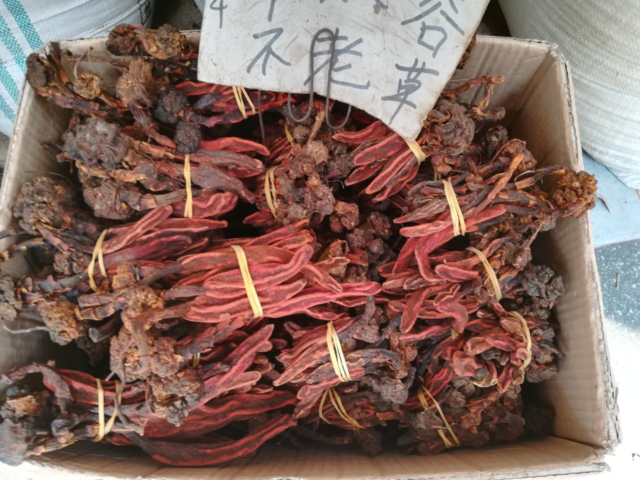 Rejuvenation Hastily Desert cistanche Grass roof Tianzhu Paojiu Medicinal material wholesale