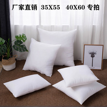 厂家直供磨毛抱枕芯40*6035*55腰枕芯客厅沙发靠垫芯一件代发定制