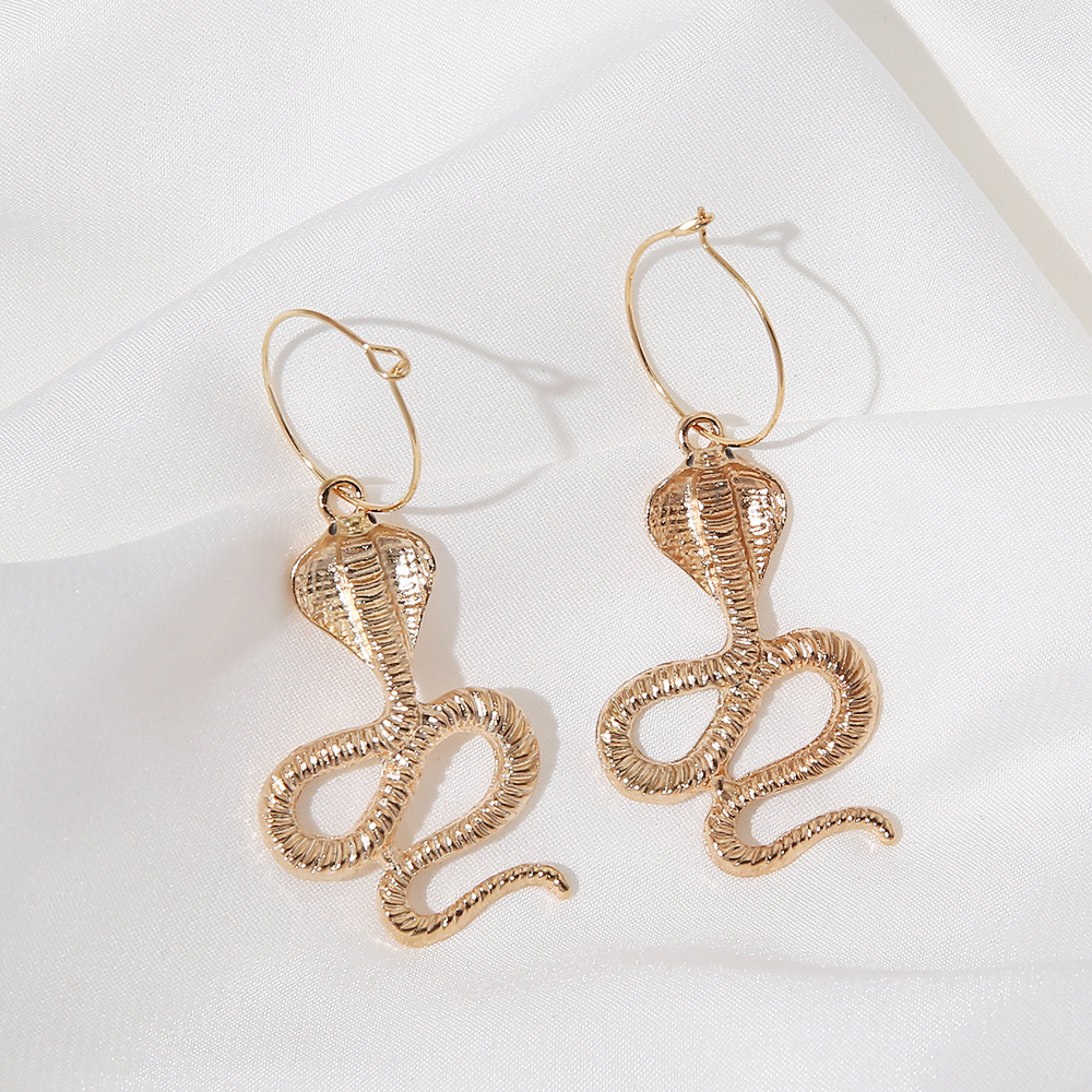 Retro Snake-shaped Long Earrings Wholesale Nihaojewelry display picture 17