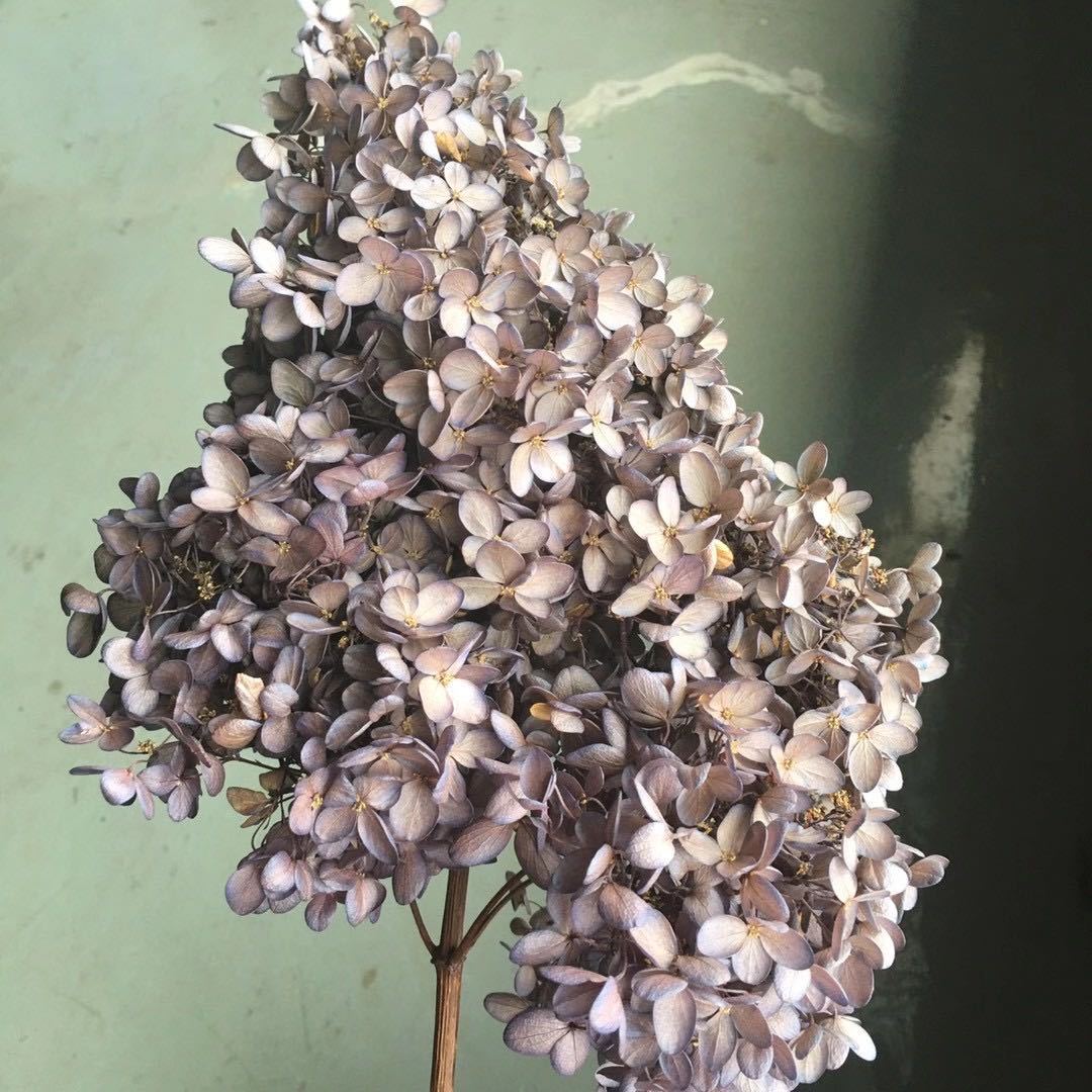 微信图片_20201018153222