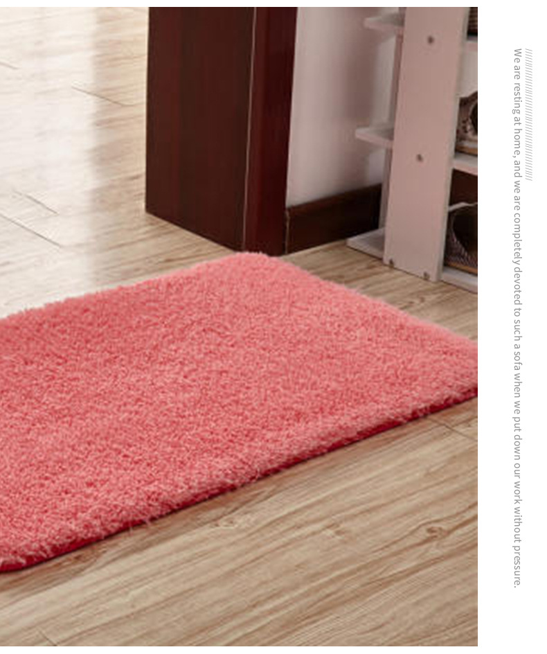 欧式地毯羊羔绒地垫可水洗地毯吸水地垫卧室地毯客厅地毯浴室地毯门口地毯