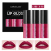 La Murislan/Lamuseland 3 installed lip gloss sample matte matte cup# L18L13