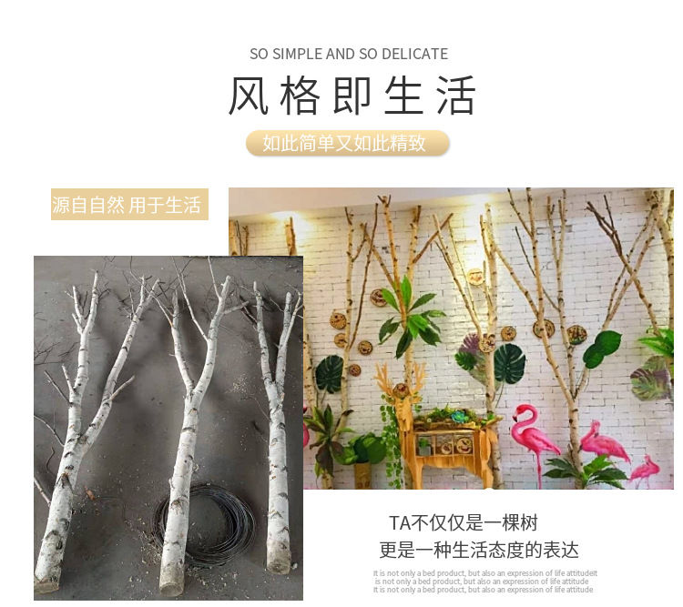 白桦树枝装饰摆件背景墙干枝禅意假树枝树干树枝干花树杈隔断创意-阿里巴巴