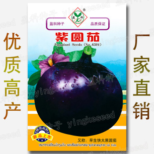 �s100���ψA�ѷN�� �������ڈA���� �Ĳ����ϷN�� �A�ѷN�����l