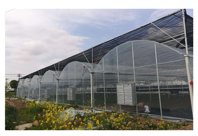 详情页-连体温室大棚_07