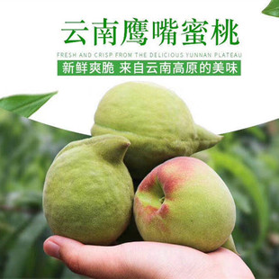 [Yunnan Lao Tree Eagle Peach Peach] теперь выбирает хрустящие и сочные 5 не -персиковые свежие фрукты