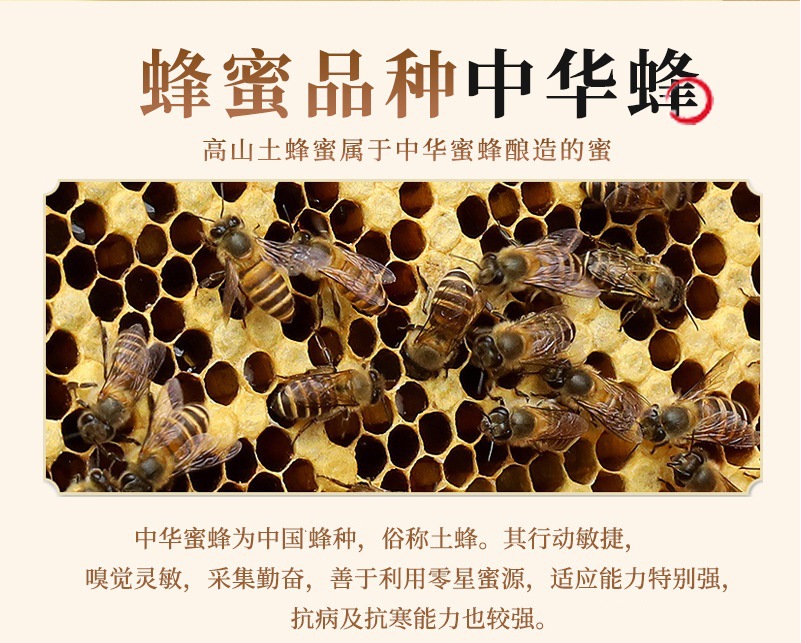 19442996528_1363332564