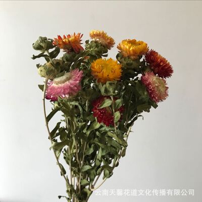 Yunnan Botany Dried flowers Colorful chrysanthemum Daisy Straw Ju pineapple Art flower arrangement Home Furnishing Decorative flowers