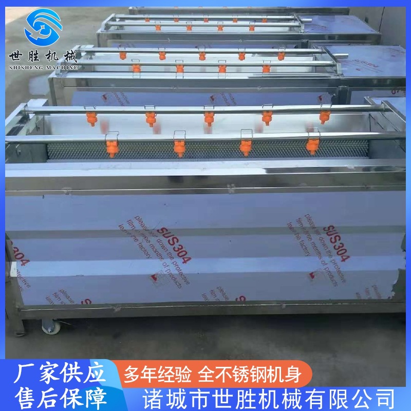 厂家供应人参毛刷清洗机 大枣清洗去皮机 桔梗清洗去杂机 可定制