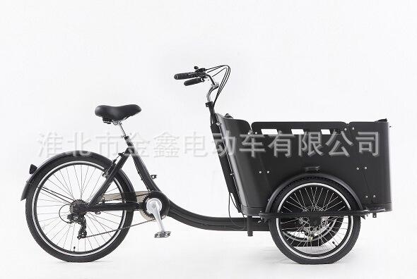 Jxcycle exports to Europe tricycle cargo bike cargo bike mother and child bike