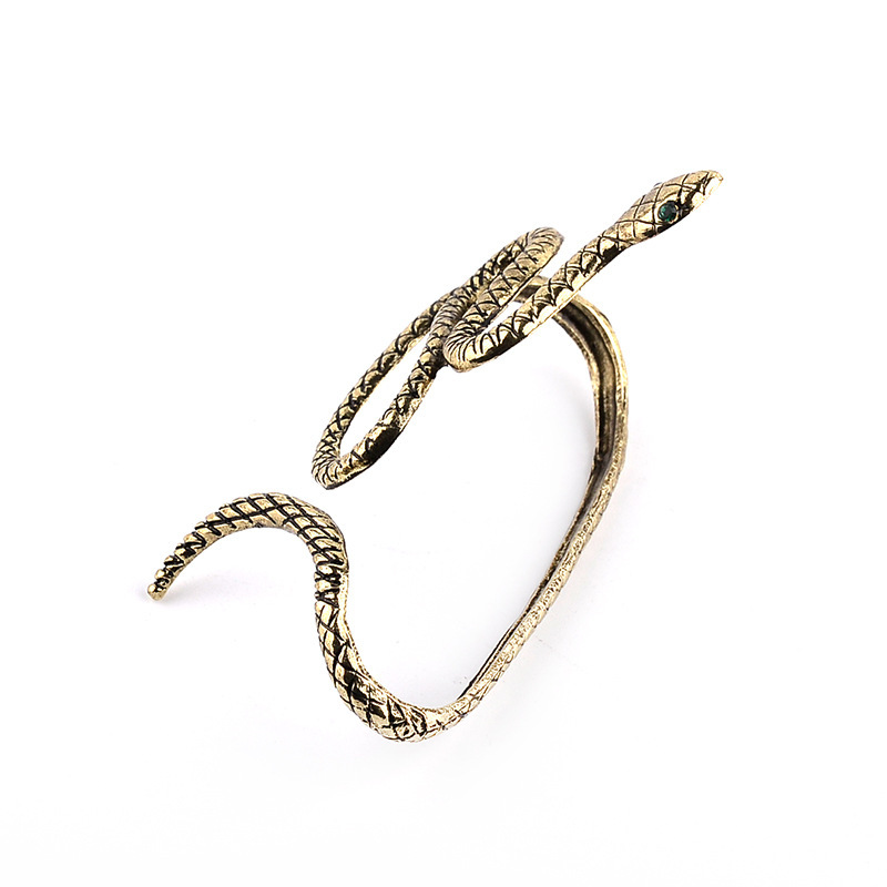 New Simple Retro Animal Winding Snake Wild Bracelet Nihaojewelry Wholesale display picture 5