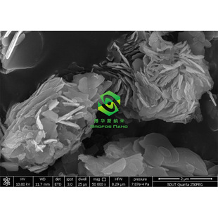 �߼��{�׶����u�� �������u�����T�� ΢�׶����u�w�� WS2