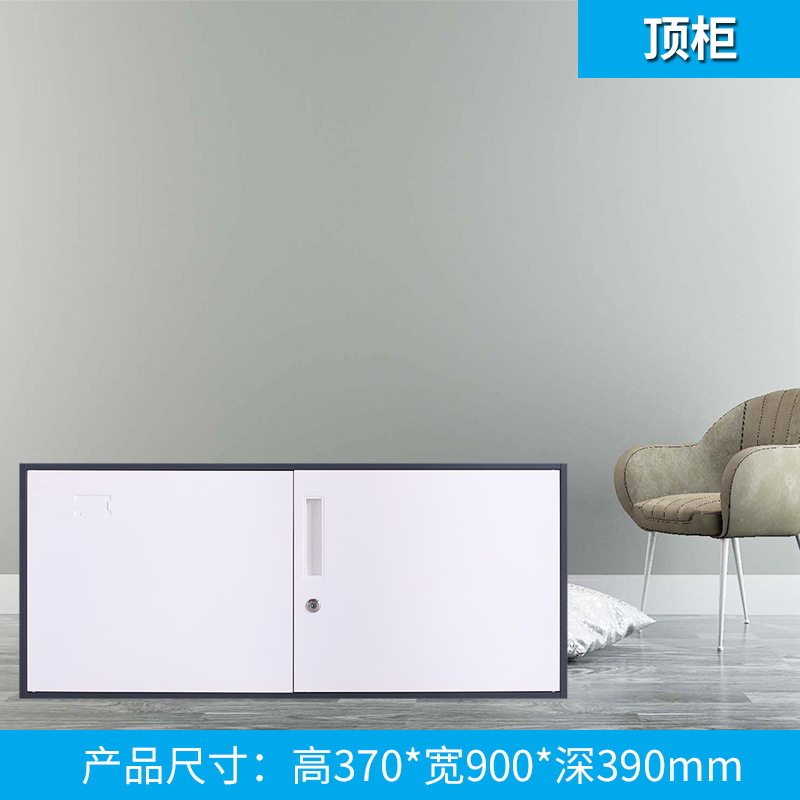 단일 섹션 캐비닛 (단일 섹션이있는 5 섹션 캐비닛)