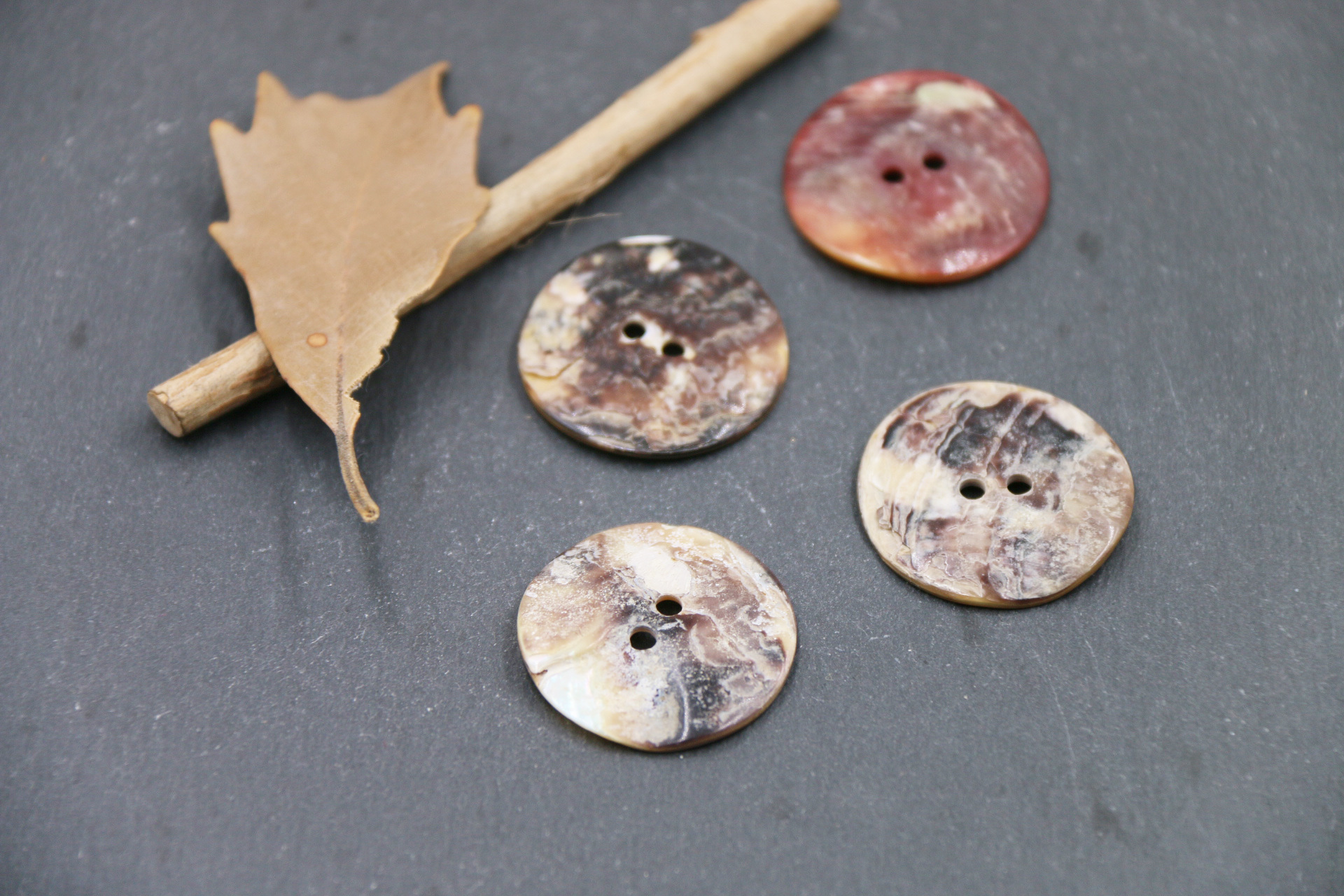 两眼马司贝 (3).JPG