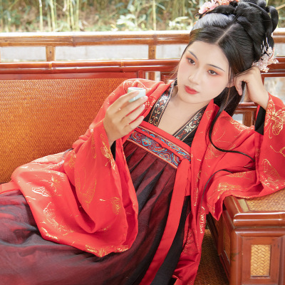 Women Chinese hanfu Women adult dress in Han Dynasty