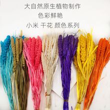 С׸ɻ ׻ɻ ҾӔ[ ˇ廨 bYͶY