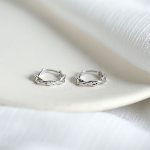 S925 silver earrings  new trendy earrings for women with cold style niche circle earrings and versatile temperament