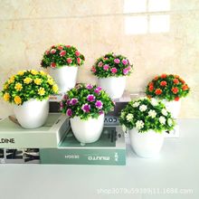 ����GֲС���԰ٴ�С���������ϼٻ��Ҿ��҃��b�Ʒ�k������[��