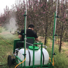 СʽșC LU݆șC С׵شșșC