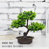 Factory Direct Sales Simulation Welcome Pot Pot Pot Popular Simulation Large Simulation Pine tree Bonsai Green Plants