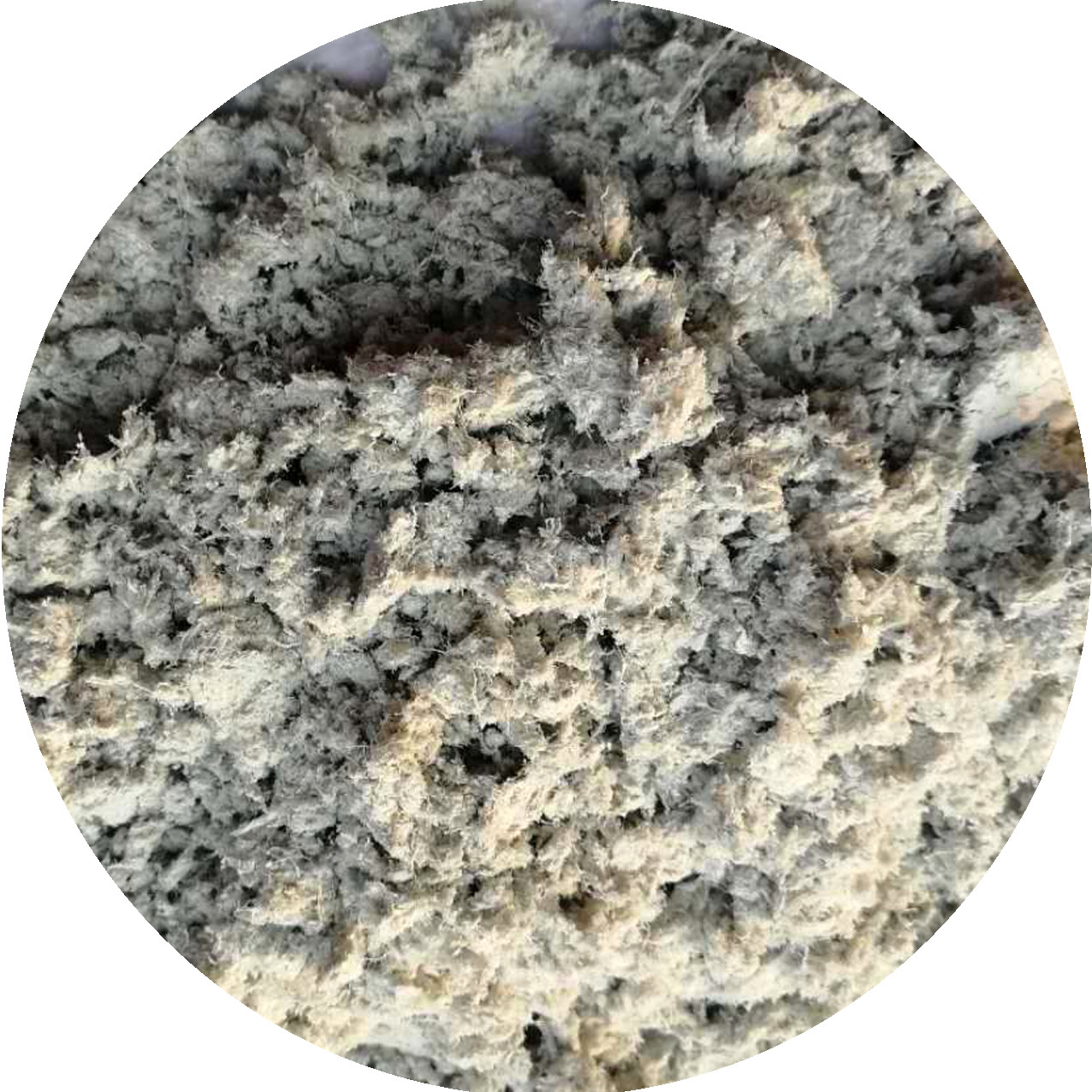 supply mineral fibre Amianthine Asbestos fiber Asbestos mineral fibre