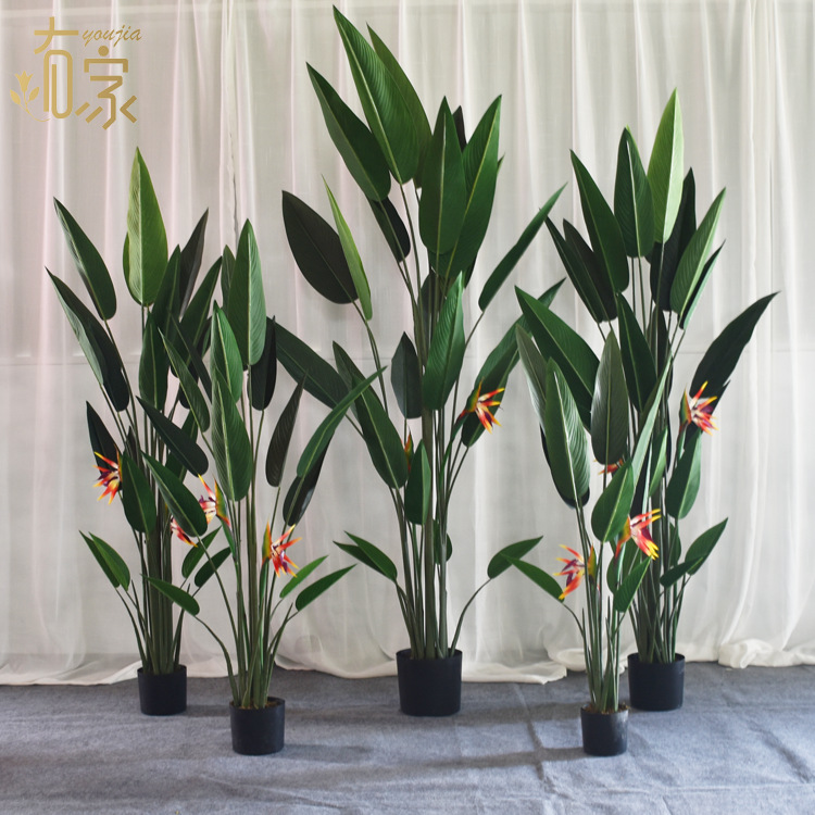 Simulación nórdica Planta verde Pájaro del paraíso Planta en maceta Decoración de interiores a gran escala Árbol falso Planta de simulación de canna