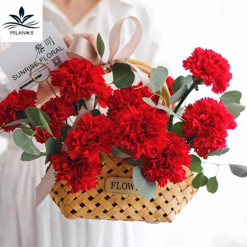 Creativo pastoral mano tejida a mano cesta de la flor cesta arreglo de flores ratán mimbre tejido cinturón mochila cesta al por mayor