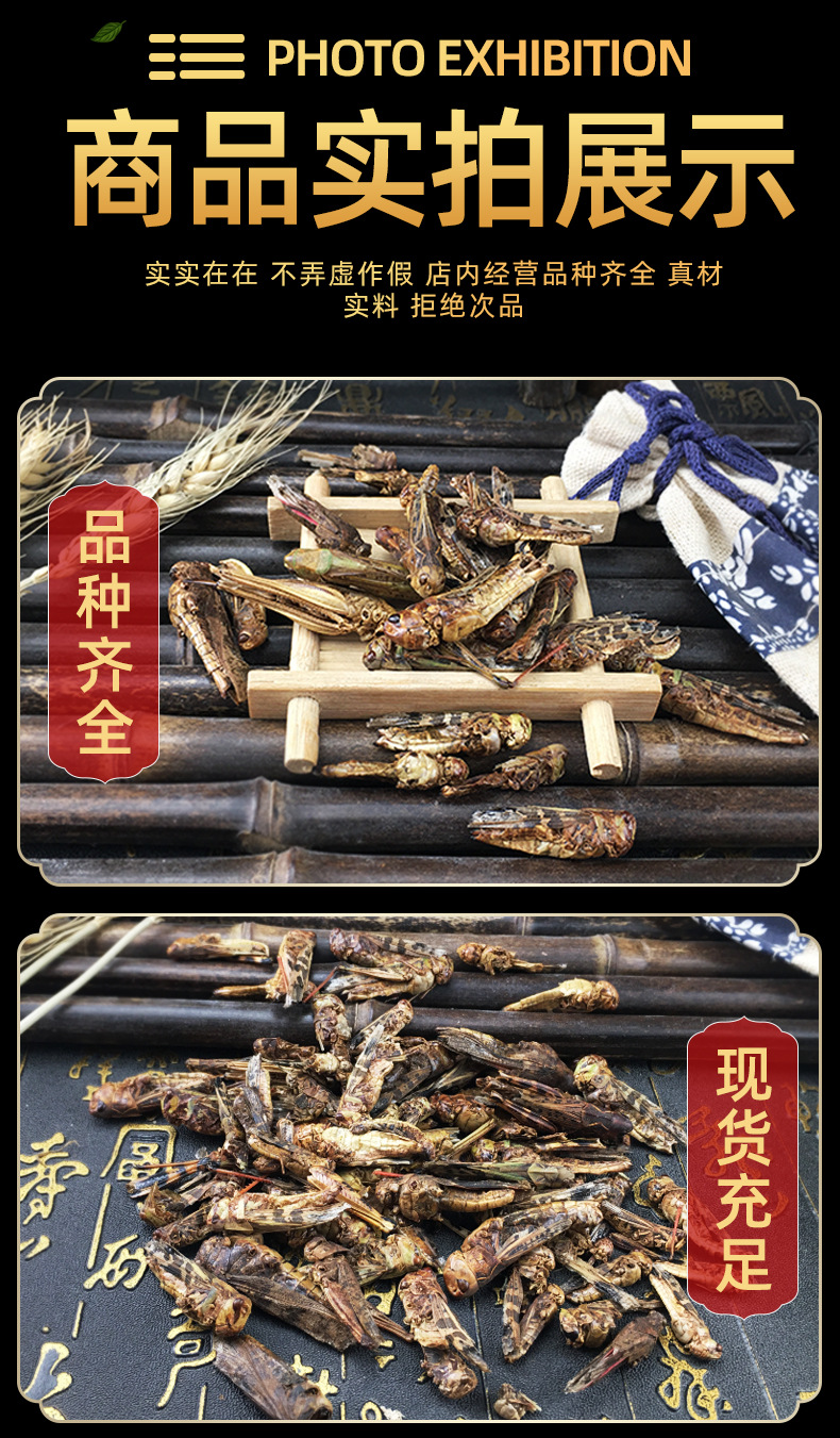 Dried Grasshoppers Ma Zha Edible Insect Snack Ingredient Sun Dried 500g in use
