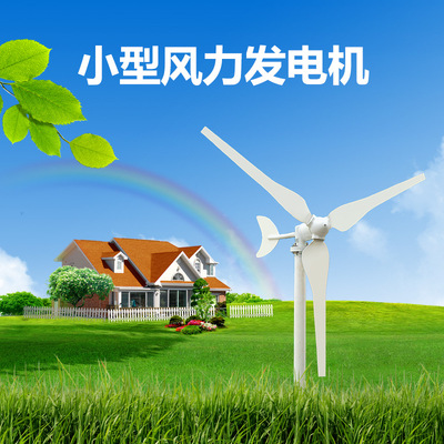厂家销售供应便捷式家用100W风力发电机组合风光互补发电系统220V|ms