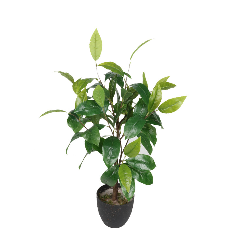 XRS-028 盆栽丹桂叶69叶0.65米.jpg