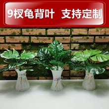 9辴������~ ��X�~���汳�����҃����b��^�p��ˮ�ݽ����ٻ��辰
