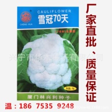 松花菜蔬菜种子 松花菜蔬菜种子品牌 图片 价格 松花菜蔬菜种子批发 阿里巴巴