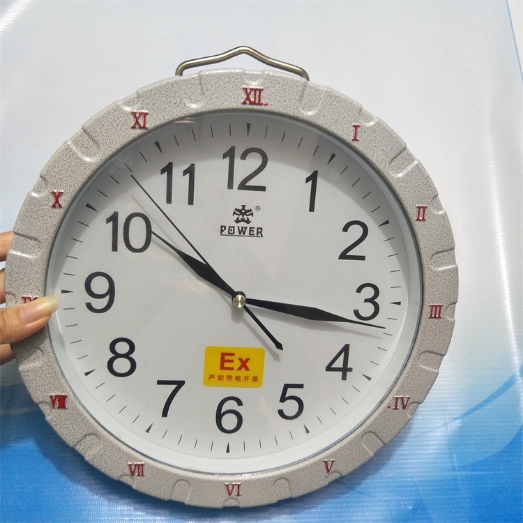圆形IIC防爆石英钟 BSZ-2010全隔爆型防爆钟表