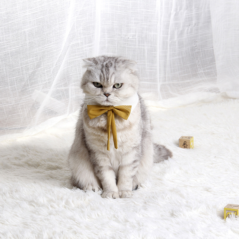 Ji Zi Zai British style pet dog bow tie teddy puppies collar cat bow tie cat neck jewelry 4