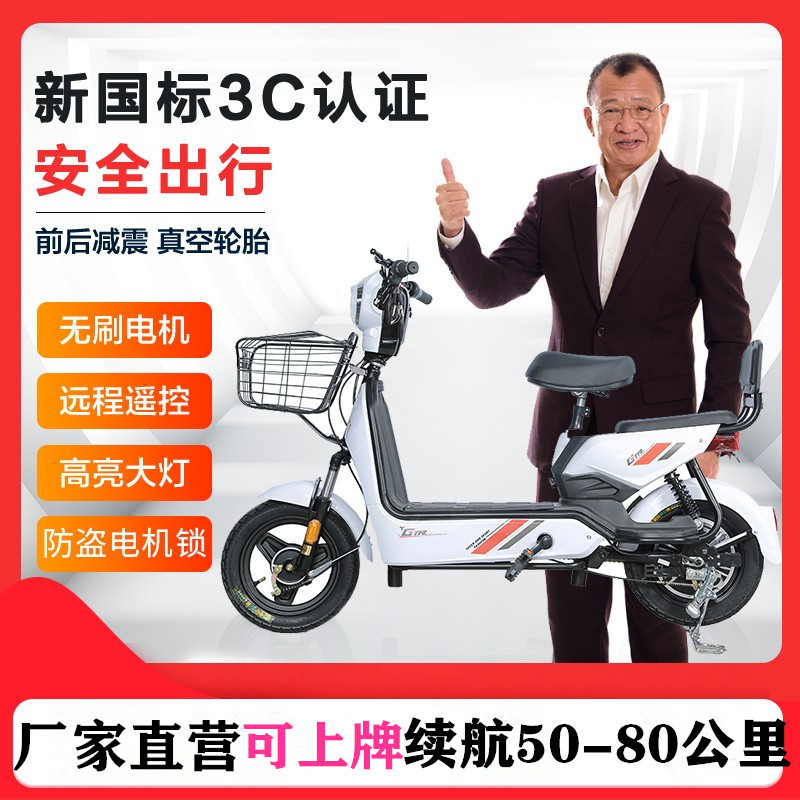 京京新国标两轮电动车电动自行车双人电瓶车厂家48v电动车成人