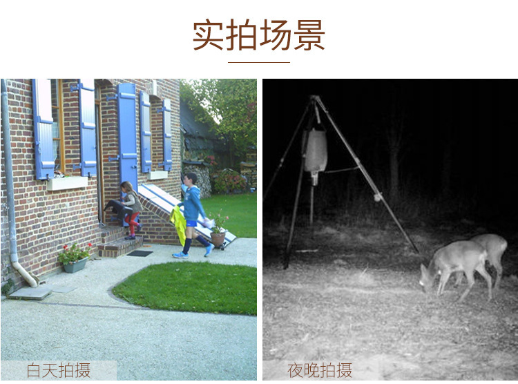 18508993357_1806958420