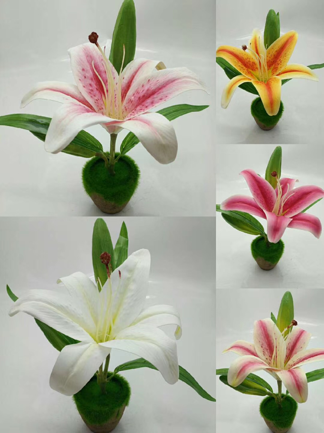 WeChat 圖片_20200704104543