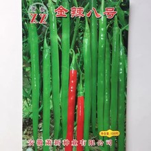 萧新螺线王辣椒种籽孑超辣线椒耐热南方四季播秋冬蔬菜新品种