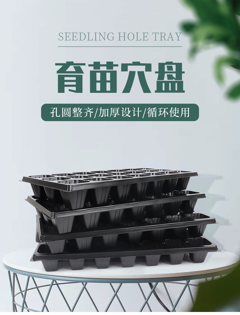 豆芽盘,育苗盘,芽菜盘,育苗穴盘,加厚育苗盘,72孔育苗盘,穴盘