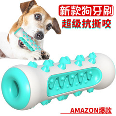 Amazon Dog Toys Chew-resistant Toothbrushing Bone TPR Pet Supplies Direct Manufacturer Supply