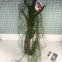 �����Sֱ�N�����溣���ݿ՚�� ���mֲ������� ��횲� ����Gֲ