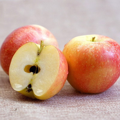 陕西嘎啦苹果新鲜采摘果批发零售苹果脆甜嘎拉4.5-5斤|ru