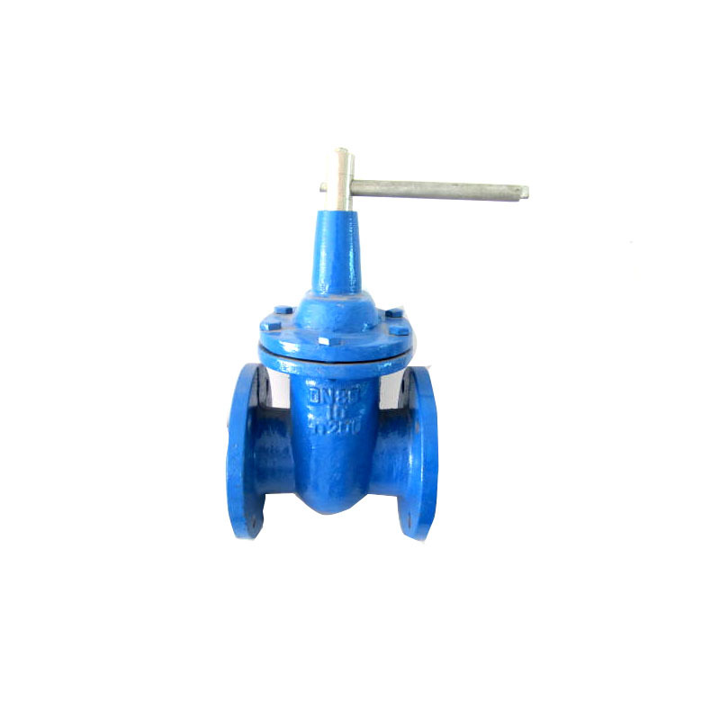 供应 FHZ41T-16  常压双向闸阀  铜杆锁闭防护闸阀水管螺纹