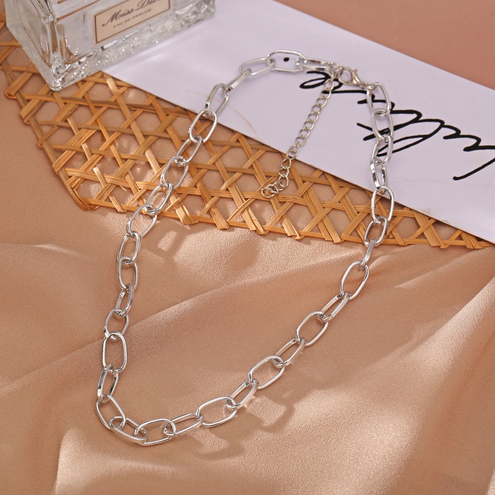 Hot Sale Punk Style Short Thick Chain Clavicle Chain Creative Retro Simple Necklace Wholesale Nihaojewelry display picture 4