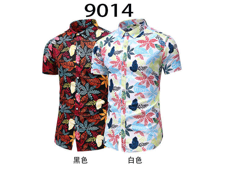 197d19d552b6c09dcf1c5ac69dfef5